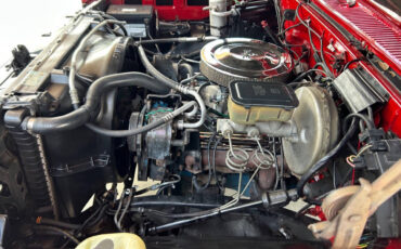 Chevrolet-Other-Pickups-1984-Pickup-Truck-34