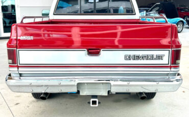 Chevrolet-Other-Pickups-1984-Pickup-Truck-5