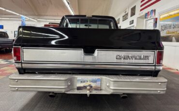 Chevrolet-Other-Pickups-1985-Pickup-11