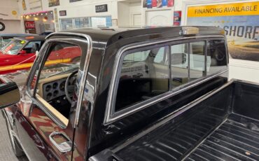 Chevrolet-Other-Pickups-1985-Pickup-13
