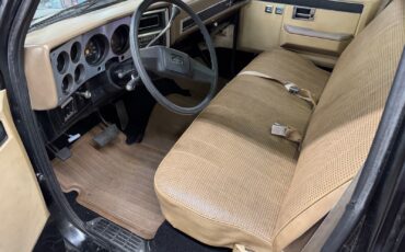 Chevrolet-Other-Pickups-1985-Pickup-16