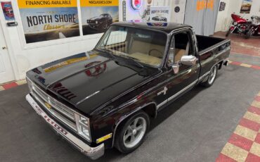 Chevrolet-Other-Pickups-1985-Pickup-17