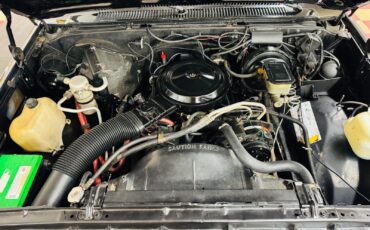 Chevrolet-Other-Pickups-1985-Pickup-18