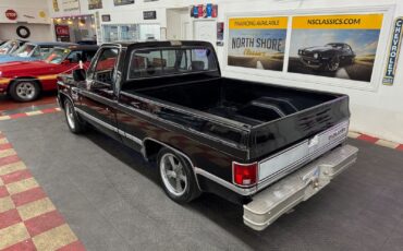 Chevrolet-Other-Pickups-1985-Pickup-2