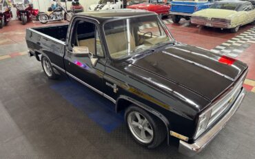 Chevrolet-Other-Pickups-1985-Pickup-20