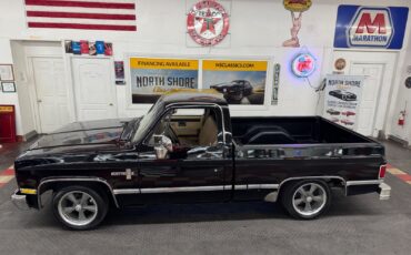 Chevrolet-Other-Pickups-1985-Pickup-21