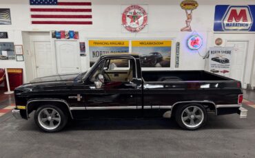 Chevrolet-Other-Pickups-1985-Pickup-3