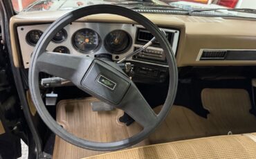 Chevrolet-Other-Pickups-1985-Pickup-37