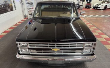 Chevrolet-Other-Pickups-1985-Pickup-4