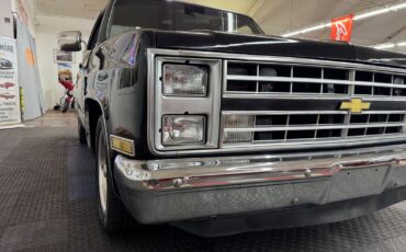 Chevrolet-Other-Pickups-1985-Pickup-6