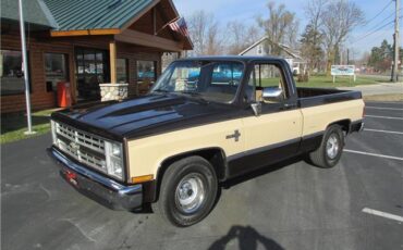 Chevrolet-Other-Pickups-1985-TruckPickup-1