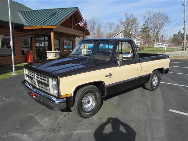 Chevrolet-Other-Pickups-1985-TruckPickup-1
