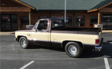 Chevrolet-Other-Pickups-1985-TruckPickup-10