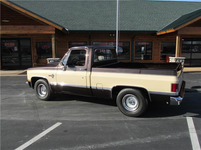 Chevrolet-Other-Pickups-1985-TruckPickup-10