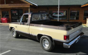 Chevrolet-Other-Pickups-1985-TruckPickup-11