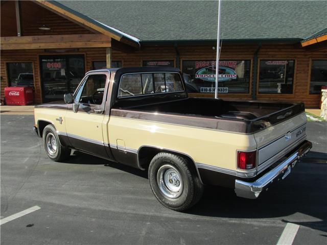 Chevrolet-Other-Pickups-1985-TruckPickup-11