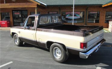 Chevrolet-Other-Pickups-1985-TruckPickup-12