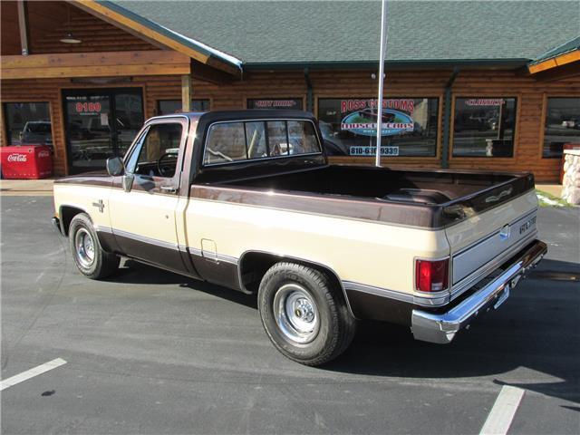 Chevrolet-Other-Pickups-1985-TruckPickup-12