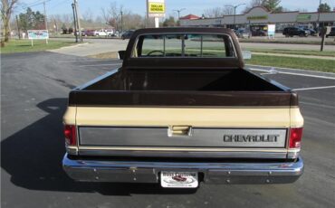 Chevrolet-Other-Pickups-1985-TruckPickup-13