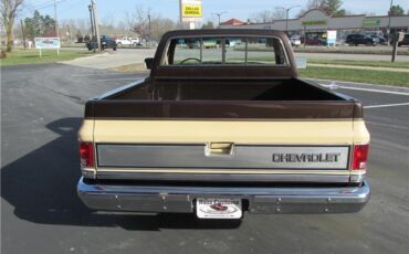 Chevrolet-Other-Pickups-1985-TruckPickup-14