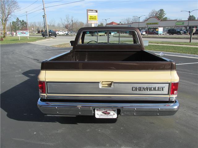 Chevrolet-Other-Pickups-1985-TruckPickup-14
