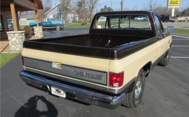 Chevrolet-Other-Pickups-1985-TruckPickup-17