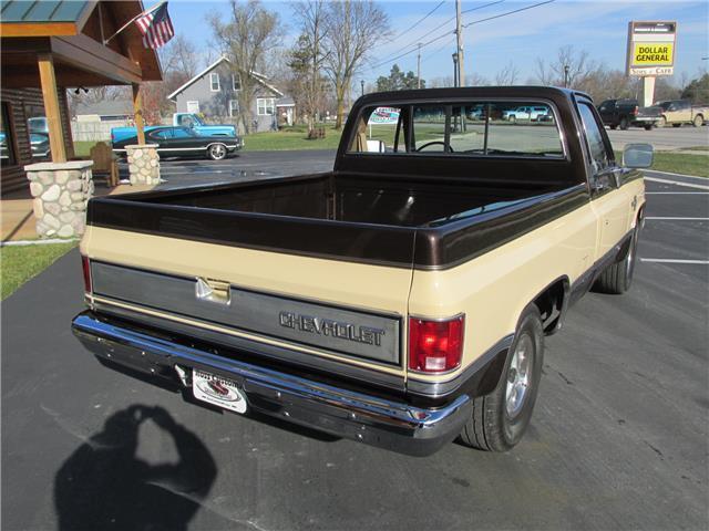 Chevrolet-Other-Pickups-1985-TruckPickup-17