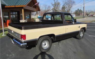 Chevrolet-Other-Pickups-1985-TruckPickup-18