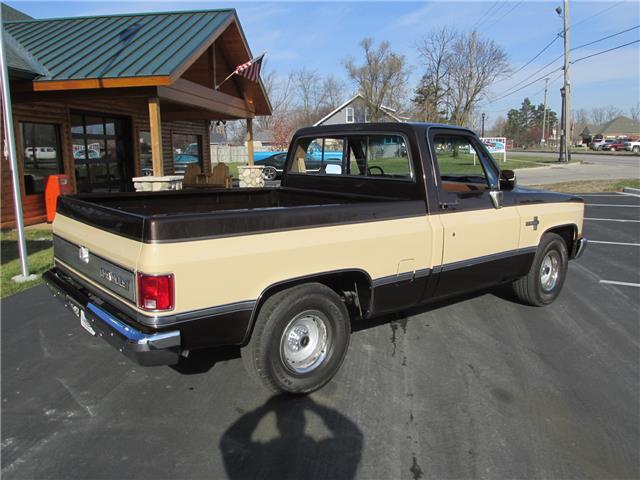 Chevrolet-Other-Pickups-1985-TruckPickup-18