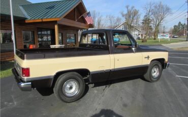 Chevrolet-Other-Pickups-1985-TruckPickup-19