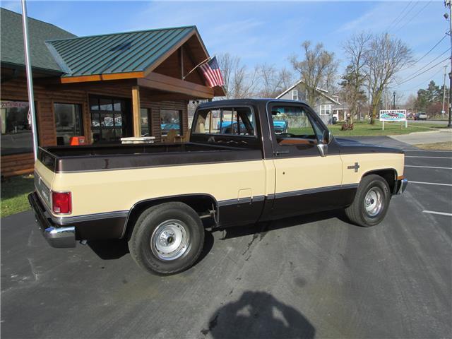 Chevrolet-Other-Pickups-1985-TruckPickup-19