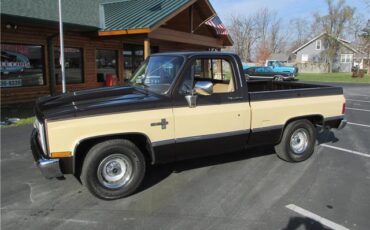 Chevrolet-Other-Pickups-1985-TruckPickup-2
