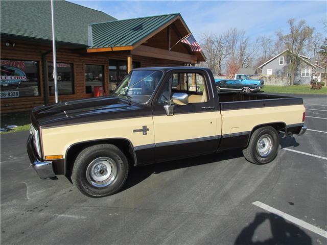 Chevrolet-Other-Pickups-1985-TruckPickup-2