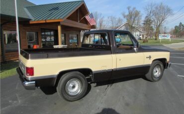 Chevrolet-Other-Pickups-1985-TruckPickup-20