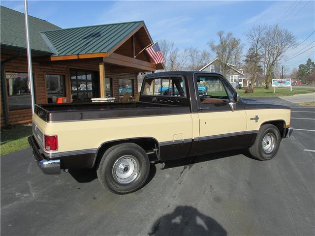 Chevrolet-Other-Pickups-1985-TruckPickup-20