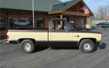 Chevrolet-Other-Pickups-1985-TruckPickup-21