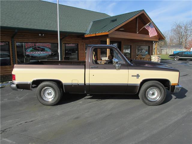 Chevrolet-Other-Pickups-1985-TruckPickup-21