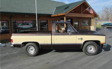Chevrolet-Other-Pickups-1985-TruckPickup-22
