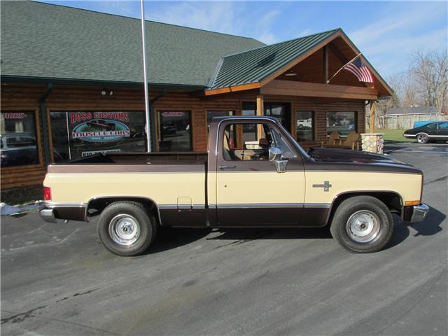 Chevrolet-Other-Pickups-1985-TruckPickup-22