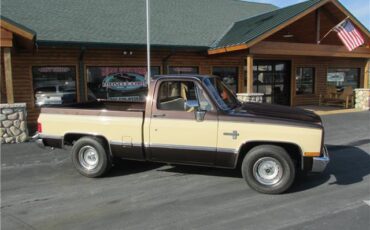 Chevrolet-Other-Pickups-1985-TruckPickup-23