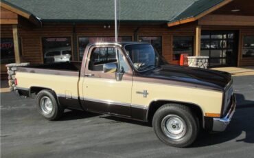 Chevrolet-Other-Pickups-1985-TruckPickup-24