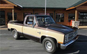 Chevrolet-Other-Pickups-1985-TruckPickup-25