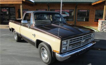 Chevrolet-Other-Pickups-1985-TruckPickup-27