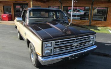 Chevrolet-Other-Pickups-1985-TruckPickup-28