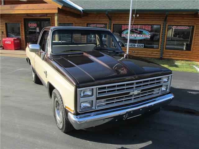 Chevrolet-Other-Pickups-1985-TruckPickup-28