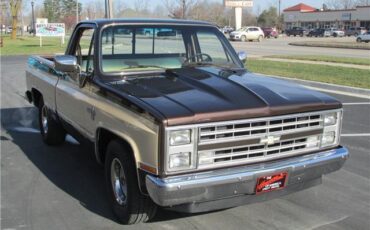 Chevrolet-Other-Pickups-1985-TruckPickup-29