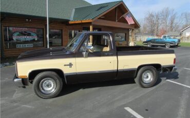 Chevrolet-Other-Pickups-1985-TruckPickup-3
