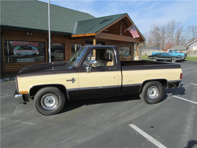 Chevrolet-Other-Pickups-1985-TruckPickup-3