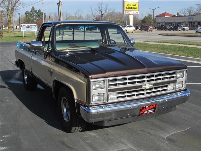 Chevrolet-Other-Pickups-1985-TruckPickup-30