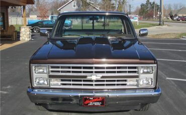 Chevrolet-Other-Pickups-1985-TruckPickup-32